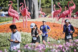 BIB: 
                            <button type="button" onclick="openModal(27793141)" class="btn btn-primary btn-sm float-right btn-popup" data-toggle="modal" data-target=".modal-high-quality">
                        <i class="fas fa-shopping-cart"></i> Add to Cart
                    </button>
                                            <button type="button" onclick="isThisMe(27793141, true)" class="btn btn-success btn-sm float-right btn-popup btn-isme hidden" data-toggle="tooltip" data-placement="bottom" title="นี่คือรูปของคุณใช่ไหม คลิกที่นี่เพื่อเอาเข้าอัลบั้ม">
                        <i class="fas fa-plus"></i> Add to album
                    </button>
                    <button type="button" onclick="isThisMe(27793141, false)" class="btn btn-warning btn-sm float-right btn-popup btn-isnotme hidden">
                        <i class="fas fa-ban"></i> Remove from album
                    </button>